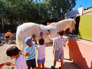 CABALLOS EN NUESTRO CAMPUS DE VERANO INCLUSIVO