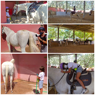 ACTIVIDAD DE CABALLOS EN NUESTRO CAMPUS DE VERANO INCLUSIVO