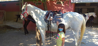 ACTIVIDAD CON CABALLOS EN NUESTRO CAMPUS INCLUSIVO