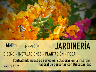 NUESTRO SERVICIO DE JARDINERÍA