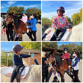 EMPEZAMOS LA TERAPIA CON CABALLOS EN EL COLEGIO LOS PUEYOS