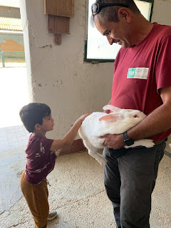 VISITA A LA GRANJA ESCUELA DE MOVERA