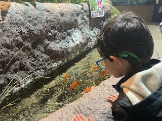 EL COLEGIO LOS PUEYOS VISITA EL ACUARIO DE ZARAGOZA