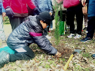 image00015